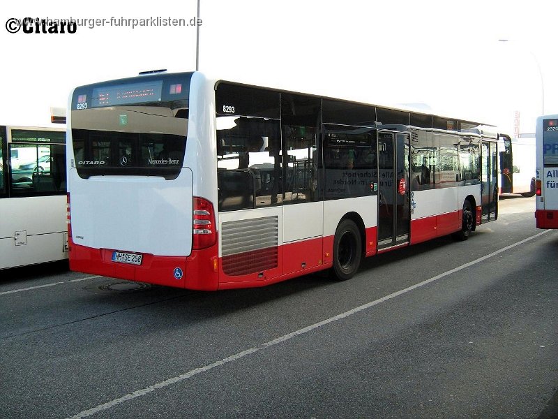 14) 8293-14,SBG,CO.jpg